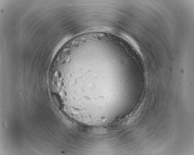 X0000072950907200608111622