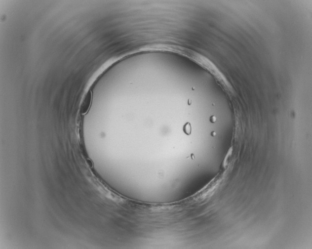 X0000072950908200608111622