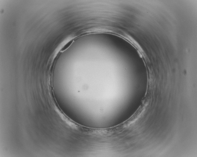 X0000072950909200608111622