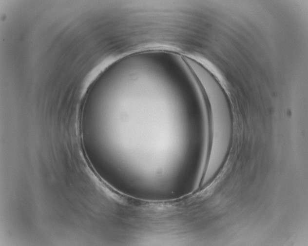 X0000072950910200608111622