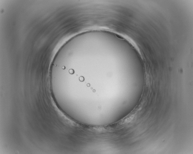 X0000072950911200608111622