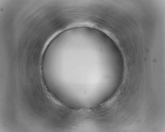 X0000072950912200608111622