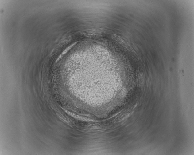 X0000072950913200608111622