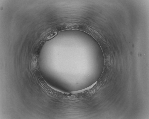 X0000072950914200608111622