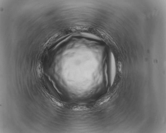 X0000072950915200608111622