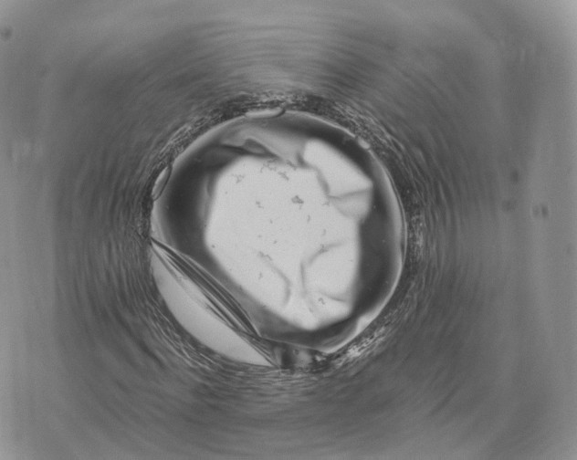 X0000072950916200608111622