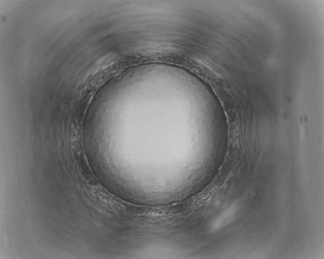 X0000072950917200608111622