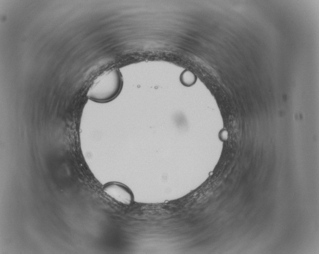 X0000072950918200608111622