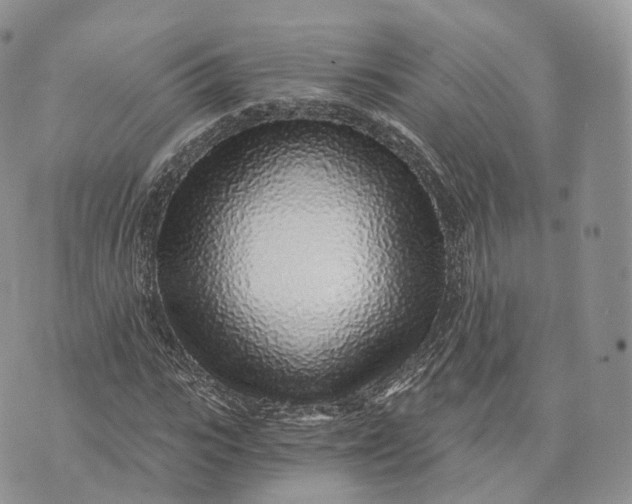 X0000072950919200608111622