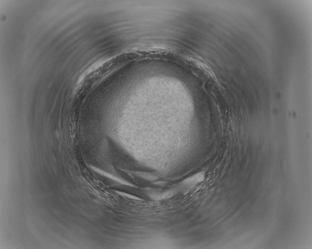 X0000072950920200608111622