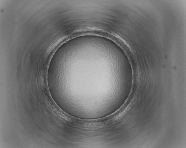 X0000072950921200608111622