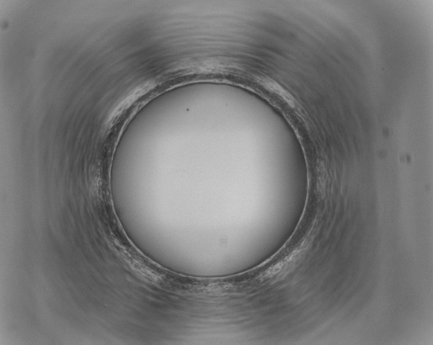 X0000072950922200608111622