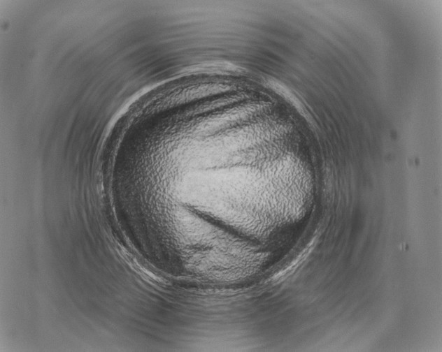 X0000072950923200608111622