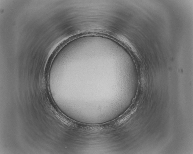 X0000072950924200608111622