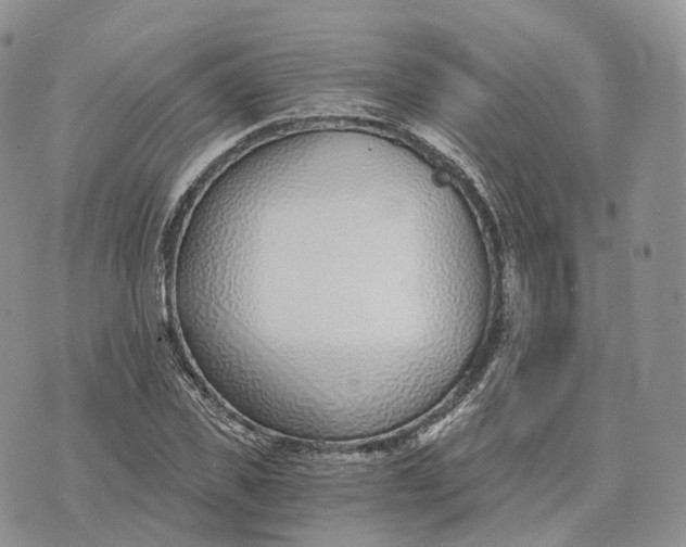 X0000072950925200608111622