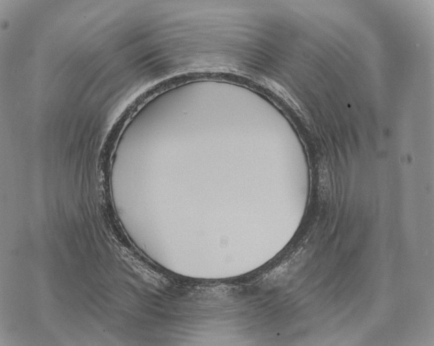 X0000072950926200608111622