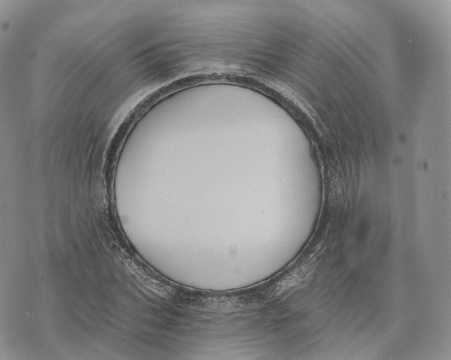 X0000072950927200608111622