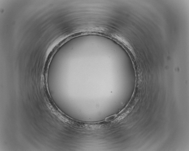 X0000072950928200608111622