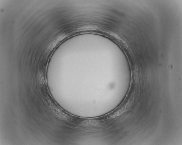 X0000072950929200608111622