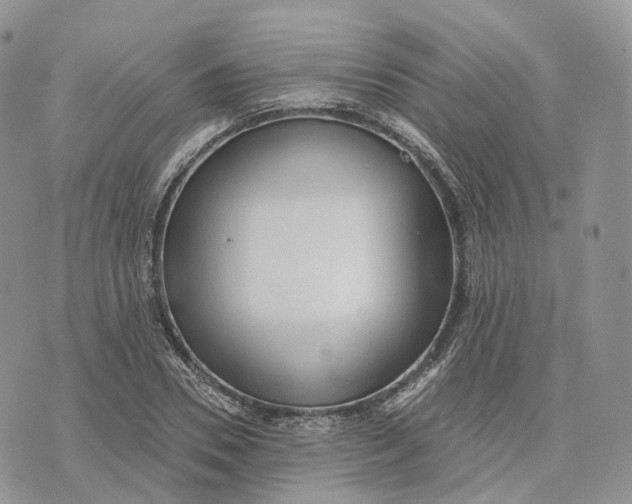 X0000072950930200608111622