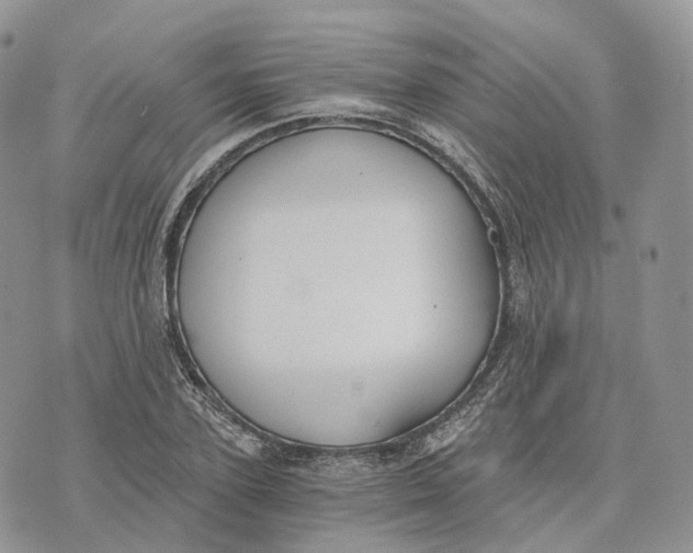 X0000072950931200608111622