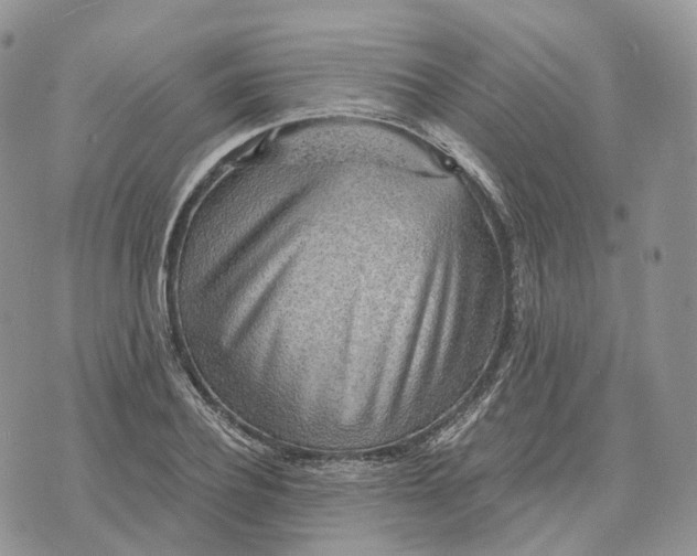 X0000072950932200608111622