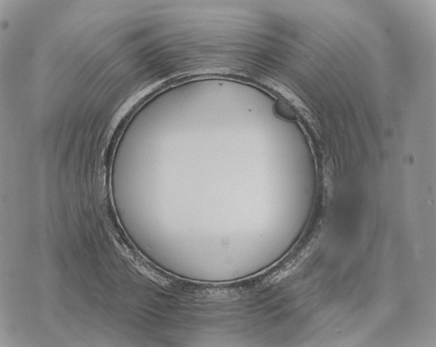 X0000072950933200608111622