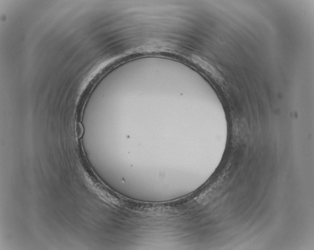 X0000072950934200608111622