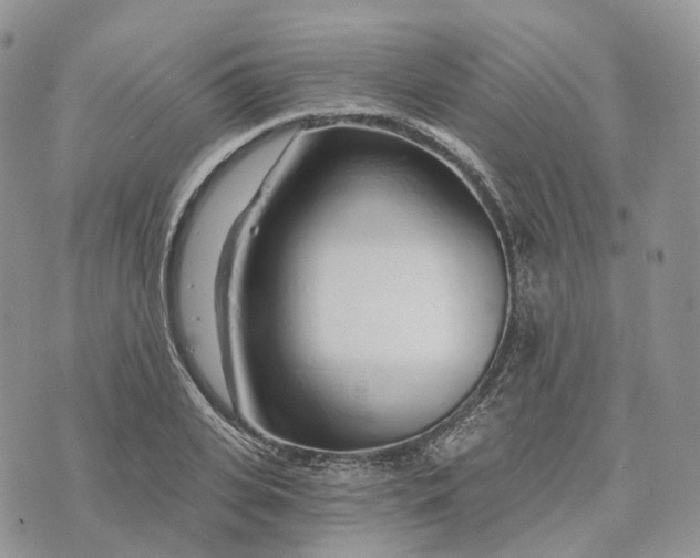 X0000072950935200608111622