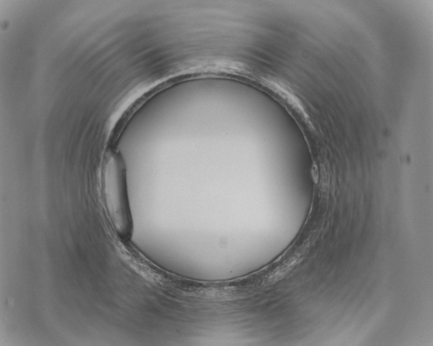 X0000072950936200608111622