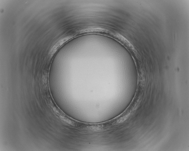 X0000072950937200608111622