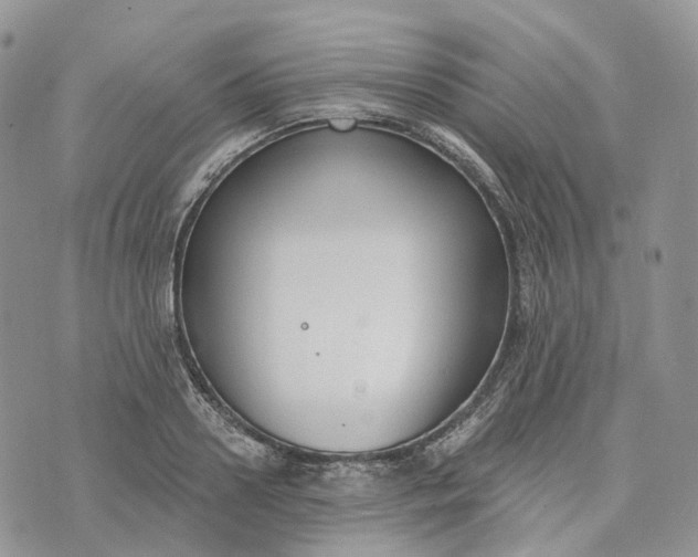 X0000072950938200608111622