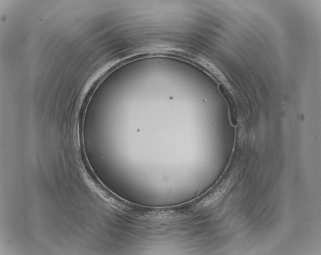 X0000072950939200608111622