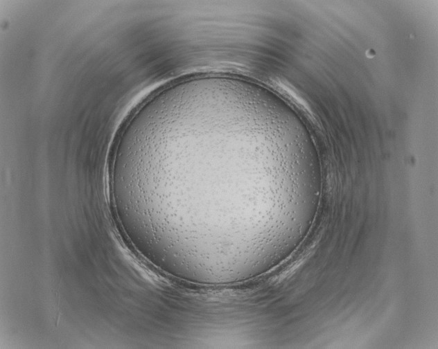 X0000072950940200608111622