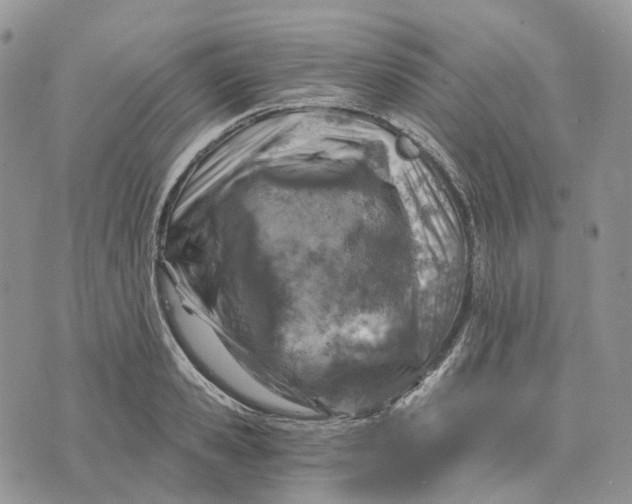 X0000072950941200608111622