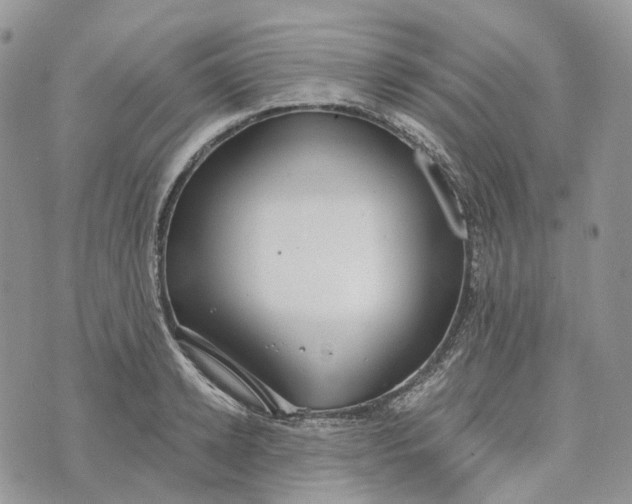 X0000072950942200608111622