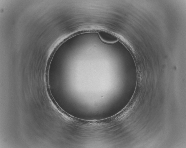 X0000072950943200608111622