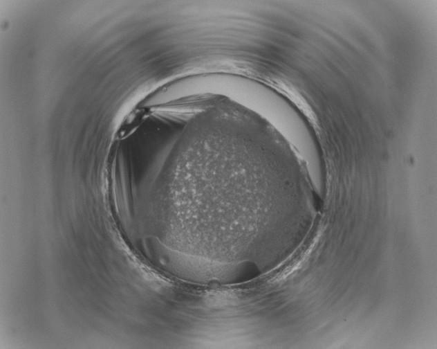 X0000072950944200608111622