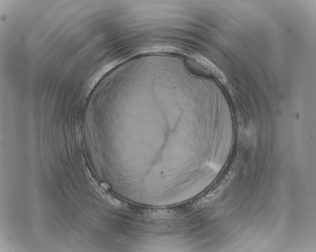 X0000072950945200608111622