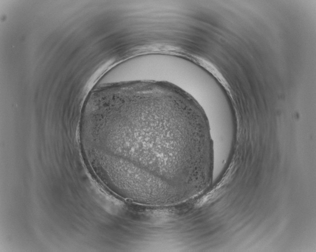 X0000072950946200608111622