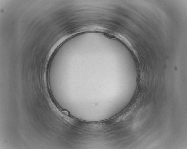 X0000072950947200608111622