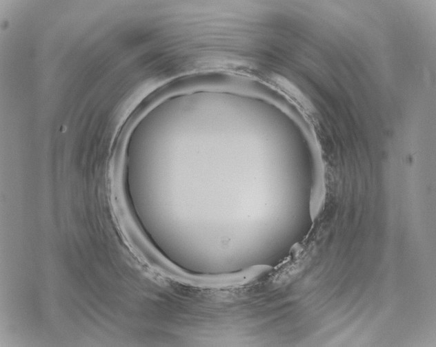 X0000072950948200608111622