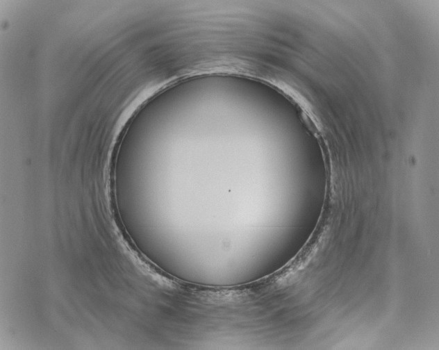 X0000072950949200608111622