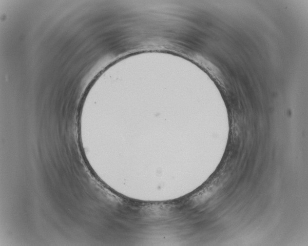 X0000072950950200608111622