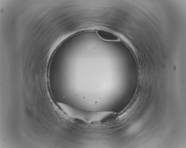 X0000072950951200608111622