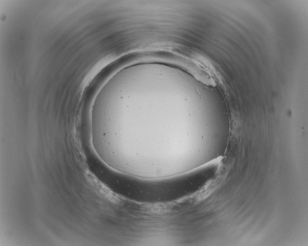 X0000072950952200608111622