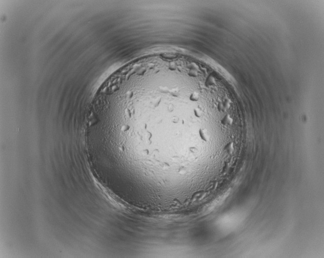 X0000072950953200608111622