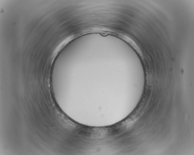 X0000072950954200608111622