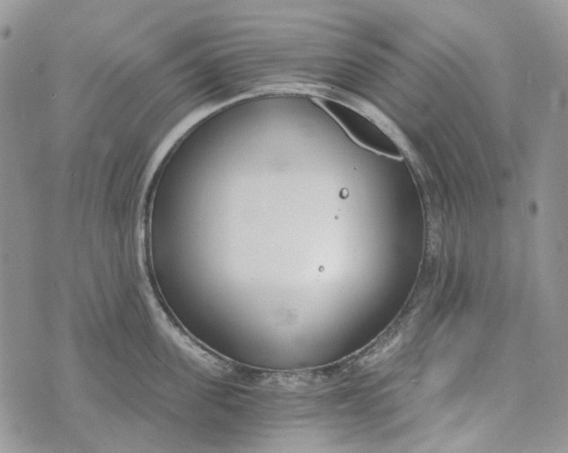 X0000072950955200608111622