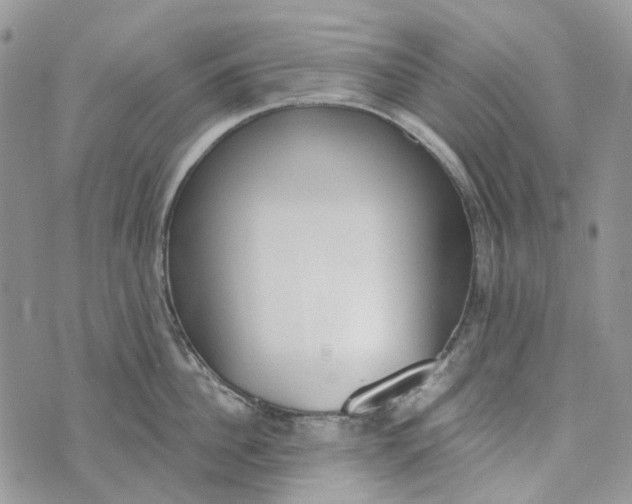 X0000072950956200608111622